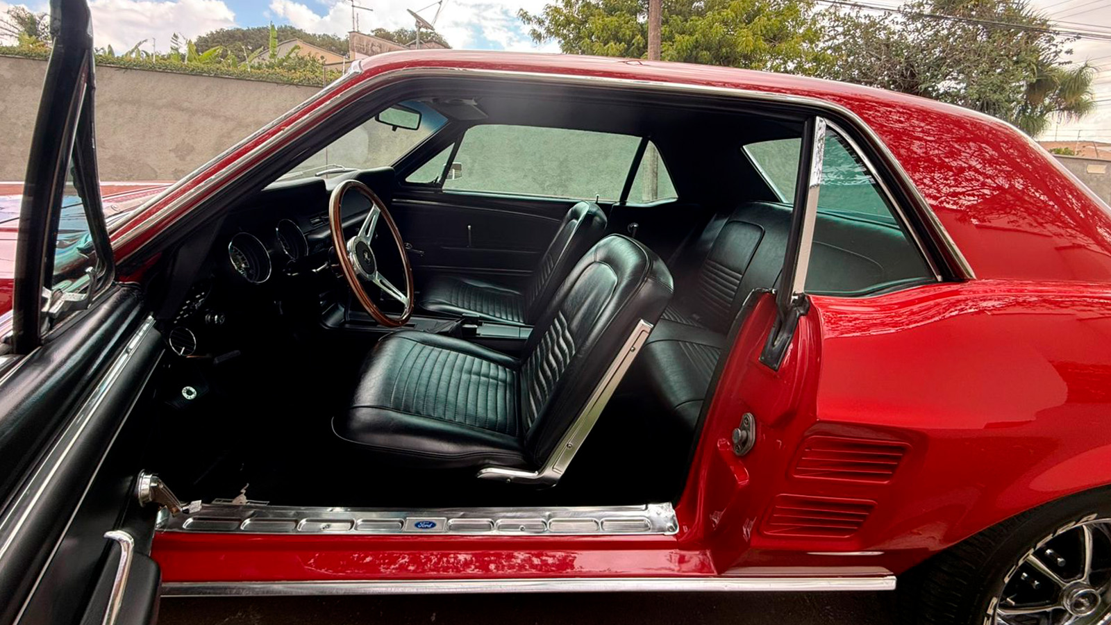 Mustang