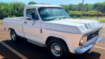 C10
