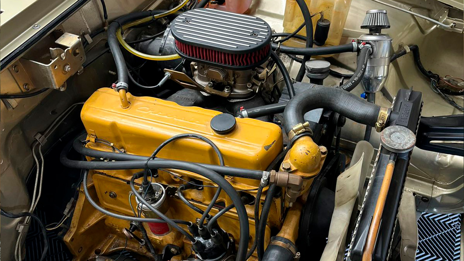 Opala