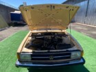 Passat LS 1979