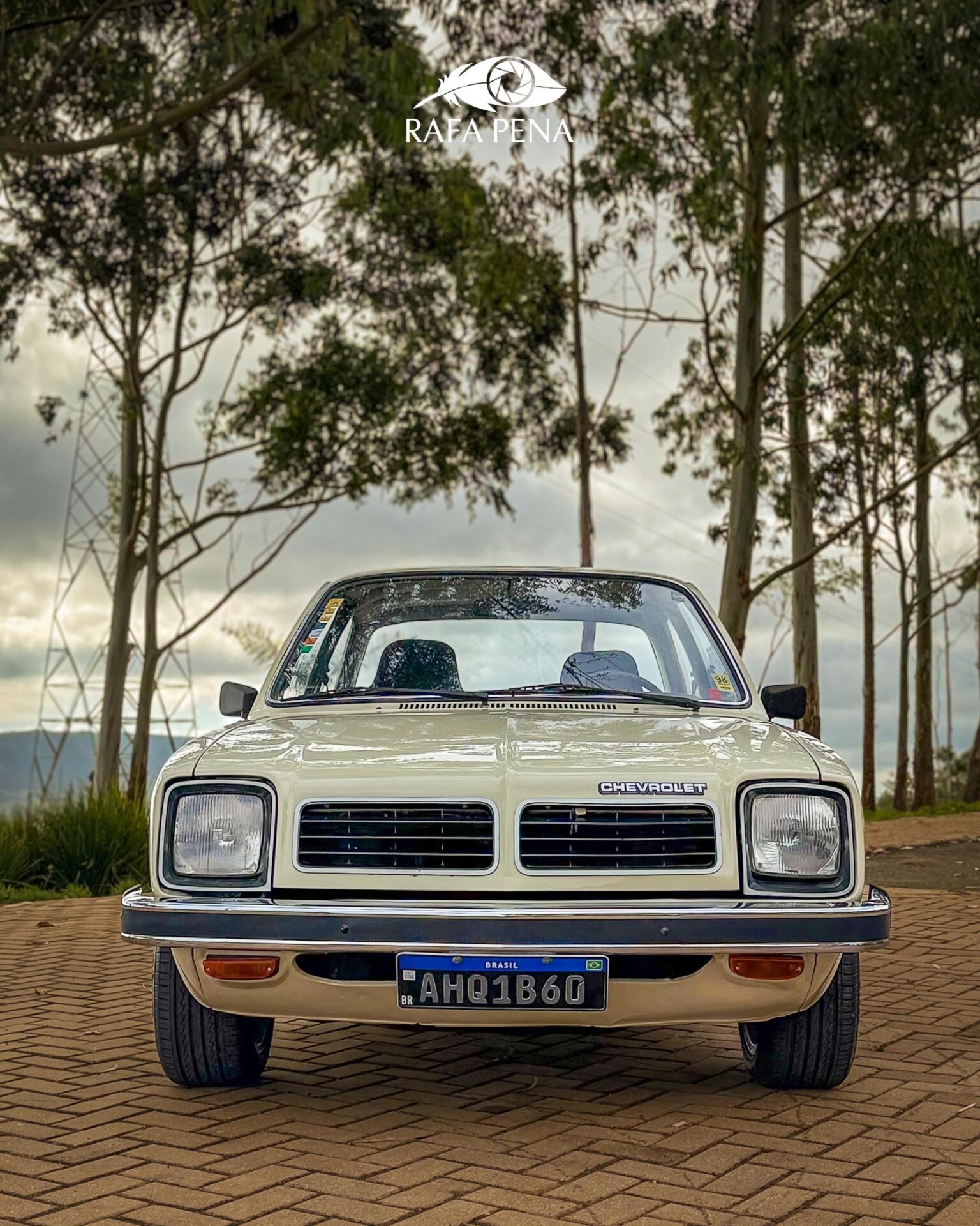 CHEVETTE