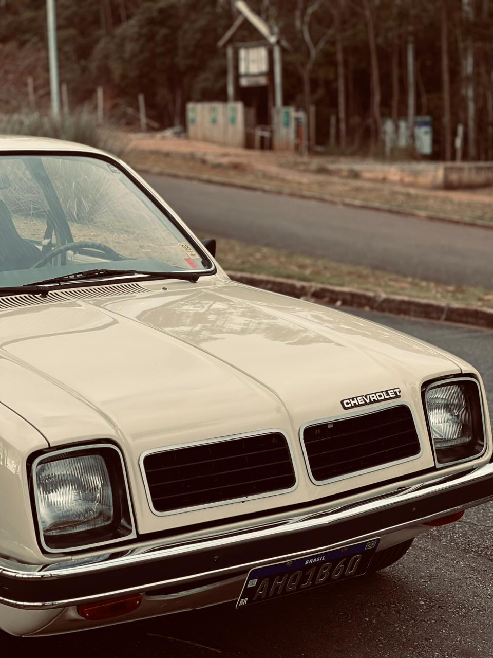 CHEVETTE
