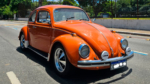Volkswagen Fusca 1974 a venda - foto complementar | Carro Antigo a Venda